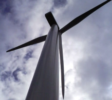 Sistemas ecológicos, monitorização.