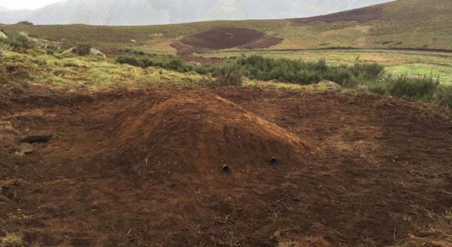 abrigo artificial coelho