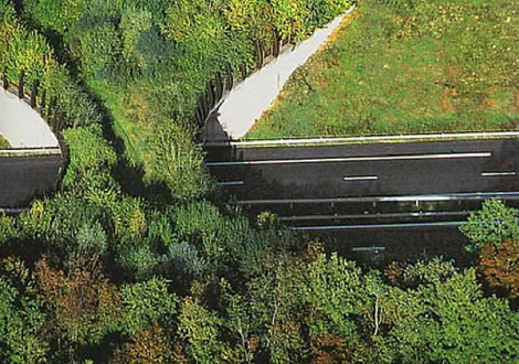 Passagem para fauna em autoestradas