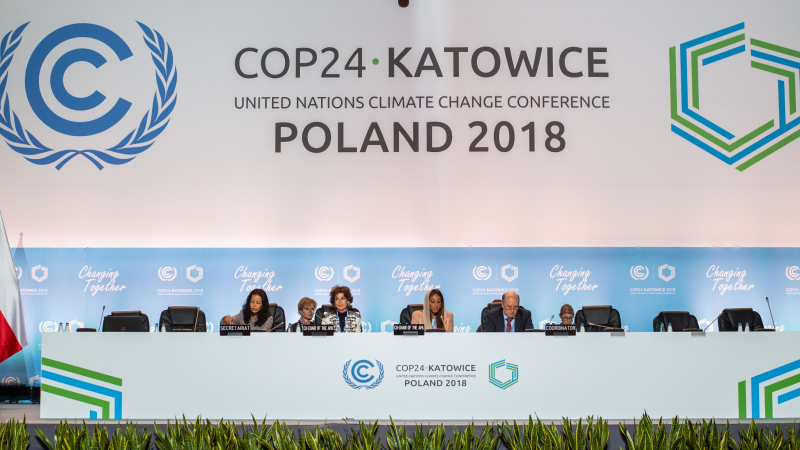 Estratégia PCI participa da COP 24 na Polônia - IDH - the