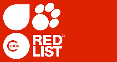 iucn-red-list-logo-red 1 - NOCTULA - Consultores em Ambiente