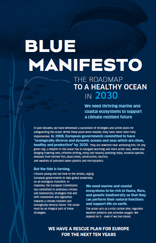 Blue Manifesto: 10 anos para salvar os oceanosNOCTULA ...