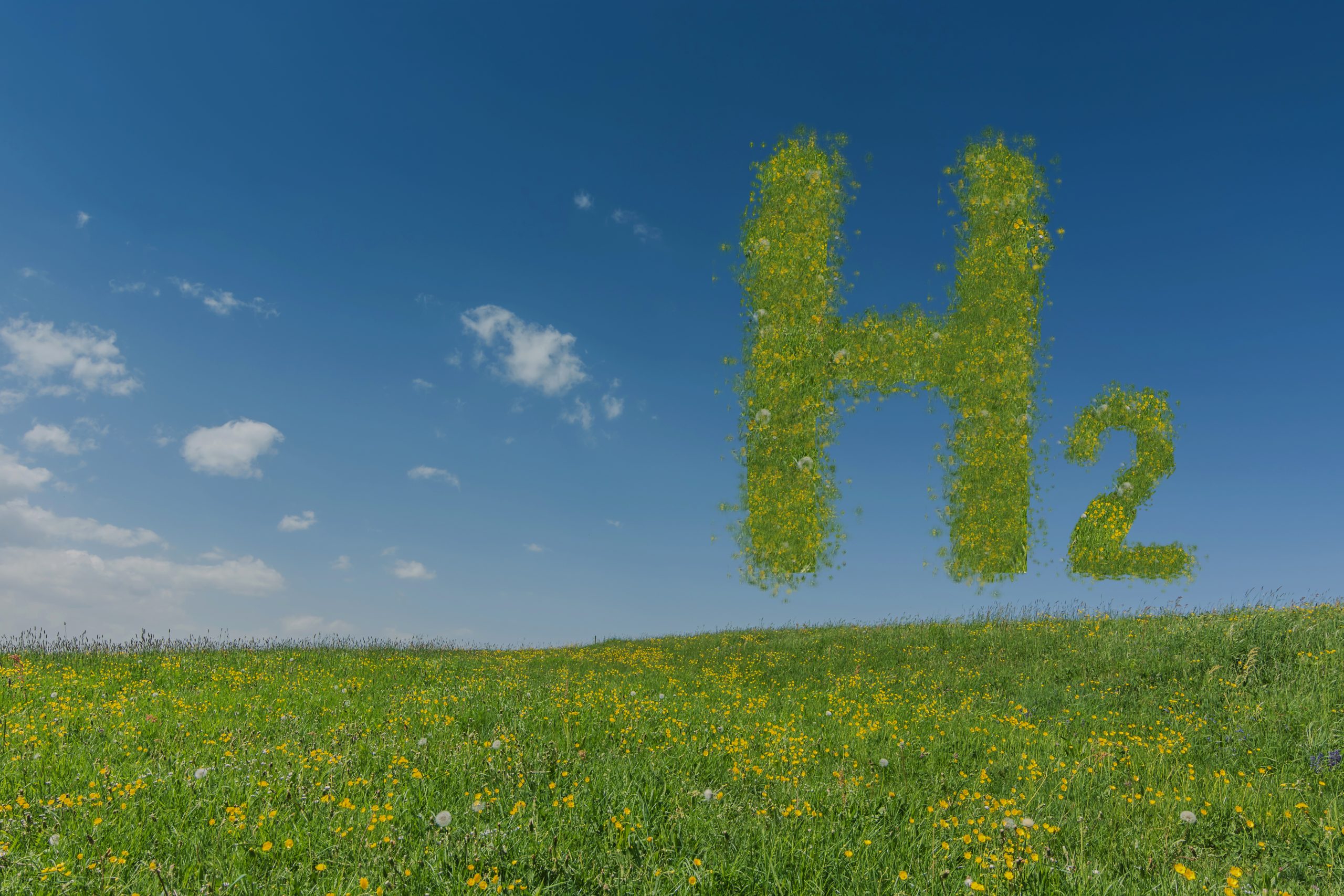 green hydrogen h2 letters hovers over a freh meadow with blue sky